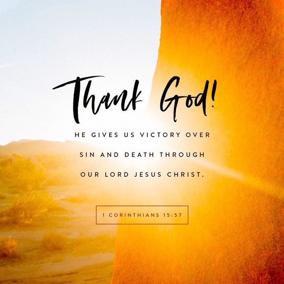 Meet your Posher, Aimee - Picture 1 of 1